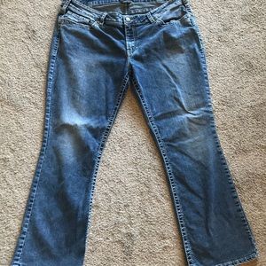 Silver Aiko Bootcut 22/31